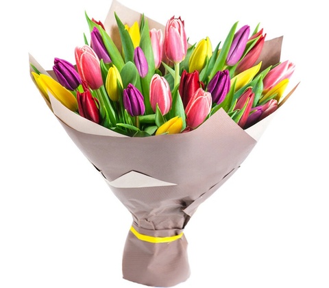 Farebné tulipány: 13