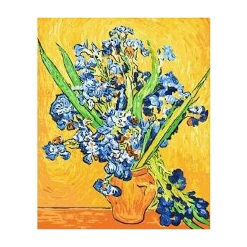 Ideyka Painting by numbers - Vase with irises 40x50