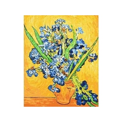 Ideyka Painting by numbers - Vase with irises 40x50