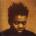 Tracy Chapman - Tracy Chapman (CD) (0075596077422)