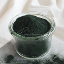 Healthlink Bio Prášek Spirulina 200 g