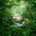 WEEZER - SZNZ: SPRING CD