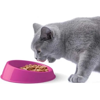 Georplast Съд за храна и вода vibrissa голяма 19х5 см georplast Италия 10002