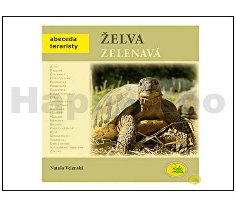 Želva zelenavá