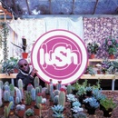 Lovelife - Lush CD