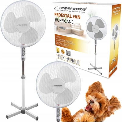 Esperanza EHF001WE