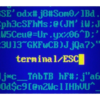 Terminal ESC