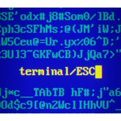 Terminal ESC