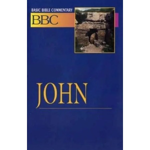 John | Abingdon Press, Norman P. Madsen, N. P. Madsen (ISBN: 9780687026395)