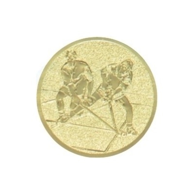 Kovový emblém POZEMNÍ HOKEJ 116