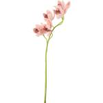 Bizzotto ИЗКУСТВЕНА КЛОНКА cymbidium dyan 66cm ОР (0170685)