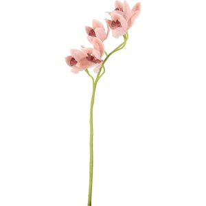 Bizzotto ИЗКУСТВЕНА КЛОНКА cymbidium dyan 66cm ОР (0170685)