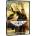 MagicBox Топ Гън: Маверик - dvd (051773)