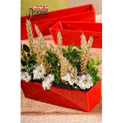 Paramit Vlasta žardinka červená 18 cm