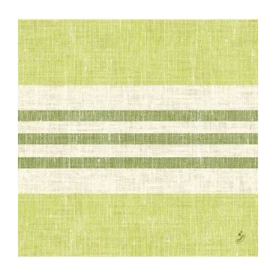 Dunisoft Ubrousek RAYA KIWI 60ks 40x40cm