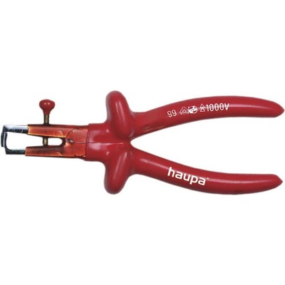 Haupa 210265