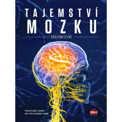 Tajemství mozku srozumitelně