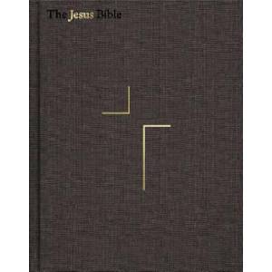 Jesus Bible, ESV Edition, Cloth over Board, Gray | Passion (ISBN: 9780310452201)