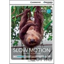 CDE 2 SLOW MOTION +ONLINE CODE