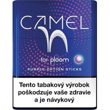Camel Purple Option krabička