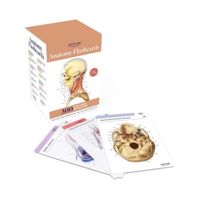 Anatomy Flashcards: 300 Flashcards with Anatomically Precise Drawings and Exhaustive Descriptions