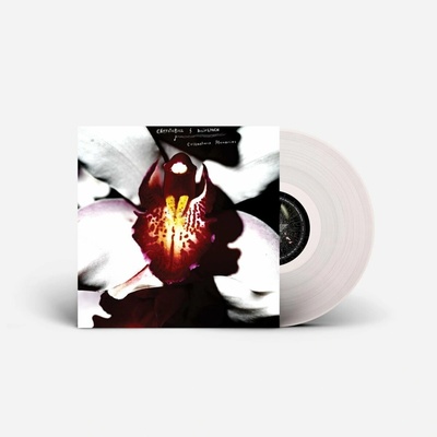 Chrysta Bell & David Lynch - Cellophane Memories (Limited Edition) (Clear Coloured) LP