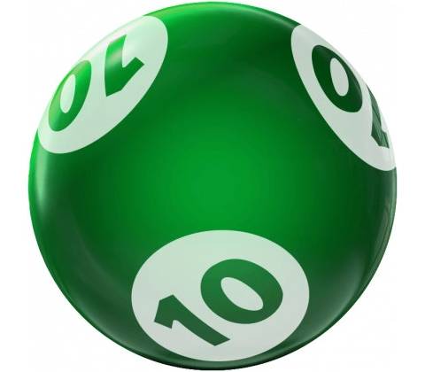 Bingo vrtané 10