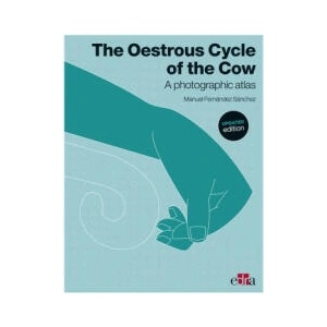 OESTROUS CYCLE OF THE COW UPDATED EDITIO | MANUEL FERN NDEZ (ISBN: 9788418020049)