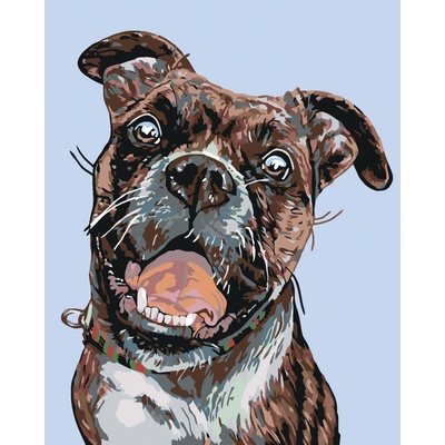 zuty Malování podle čísel Starý trhač 80 x 100 cm bez rámu a bez vypnutí plátna