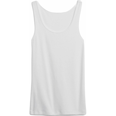 GAP MOD biela
