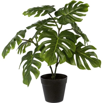 Gasper Umělý Philodendron