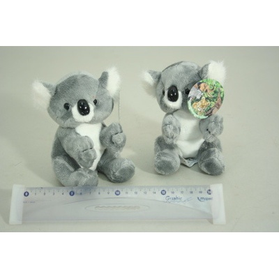 koala