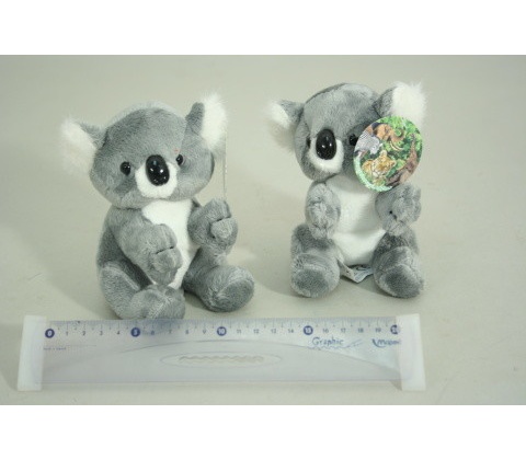 koala
