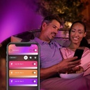 Philips Hue Lily 17462/30/P7