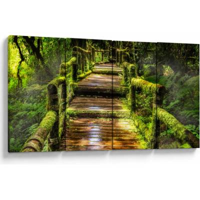 Obraz schodů v deštném pralese, Čtyřdílný 160x80 cm
