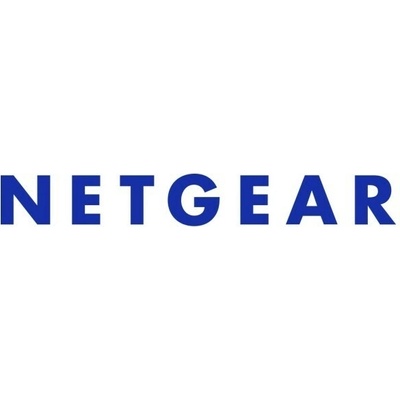 Netgear NMS300L2-10000S