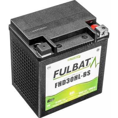 Fulbat FHD30HL-BS GEL