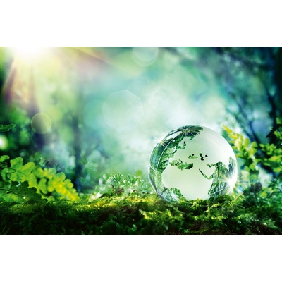 DIMEX ART Флизелинов фототапет глобус върху мъх 375 x 250 см