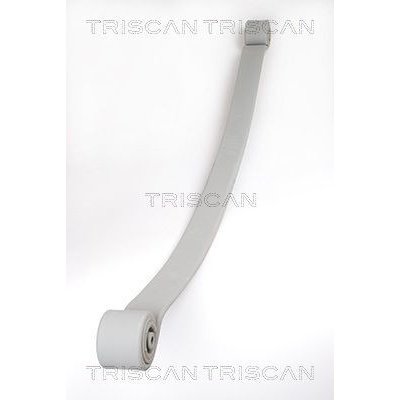 Sada pružin TRISCAN 8765 23019