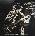 Neil Young + Promise Of The Real - Noise And Flowers (LP) (093624883111)