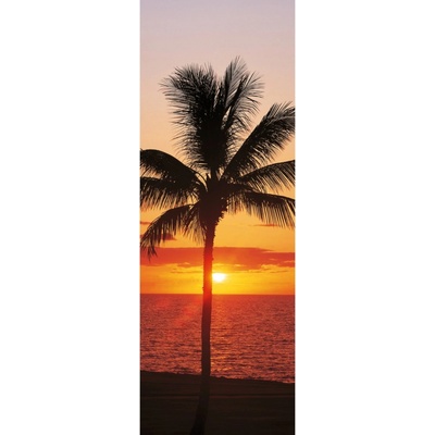 Komar Vliesová fototapeta Hawaii rozměry 100 x 280 cm