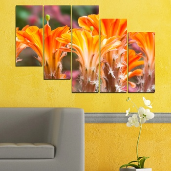 Vivid Home Картини пана Vivid Home от 5 части, Цветя, Канава, 160x100 см, 7-ма Форма №0487