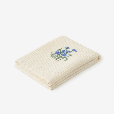 Goldea chrpy na krémovém 50 x 70 cm – Hledejceny.cz