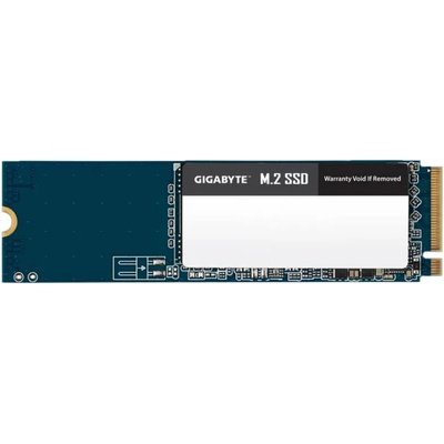 GIGABYTE 1TB M.2 PCIe (GM21TB)