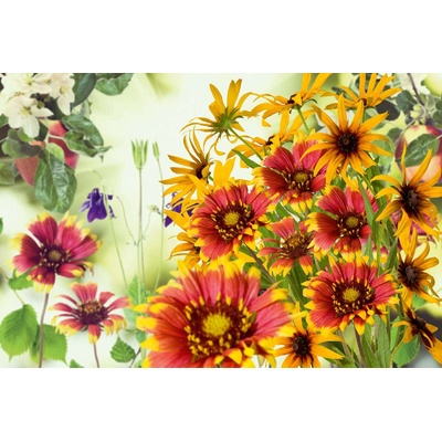 DIMEX ART Флизелинов фототапет цветя в градината 375 x 250 см