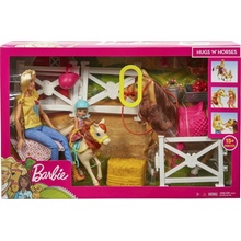 Barbie Konská farma Barbie Chelsea kôň a poník FXH15