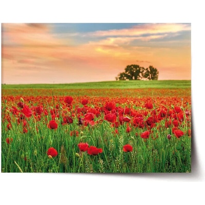 Sablio Plagát Pole vlčích makov 2 - 90x60 cm