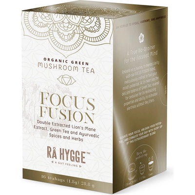 Ra Hygge BIO Focus Fusion zelený čaj s Lion´s mane 16 ks