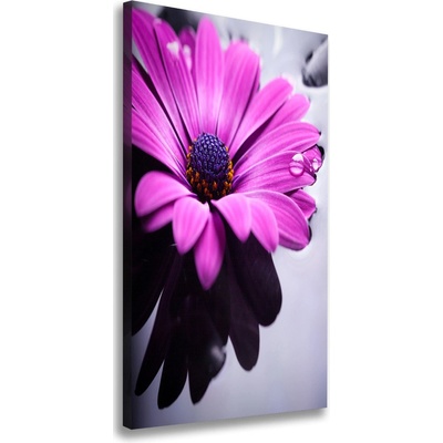 Vertikálny foto-obraz canvas do obývačky Ružová gerbera 50x100 cm