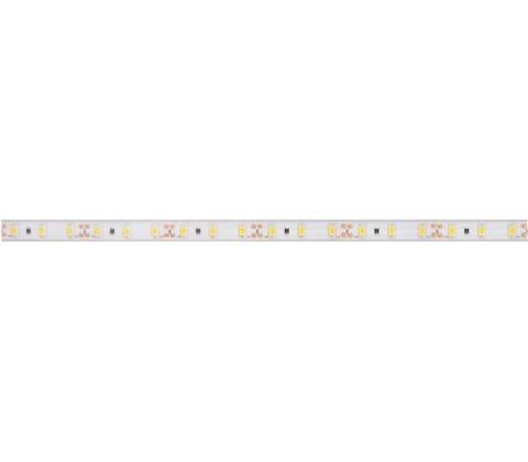 Panlux 3015